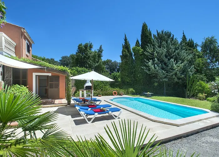 Owl Bennasar - Rustic