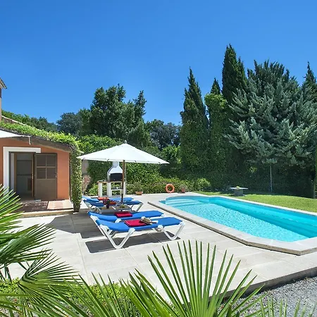 Owl Bennasar - Rustic