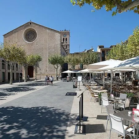 Owl Bennasar - Rustic *