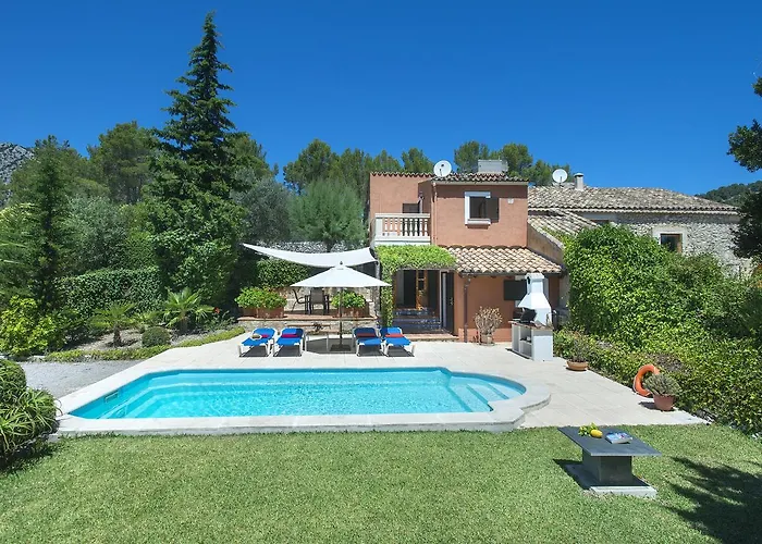 Owl Bennasar - Rustic