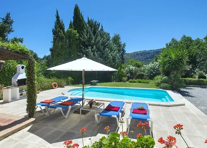 Owl Bennasar - Rustic *