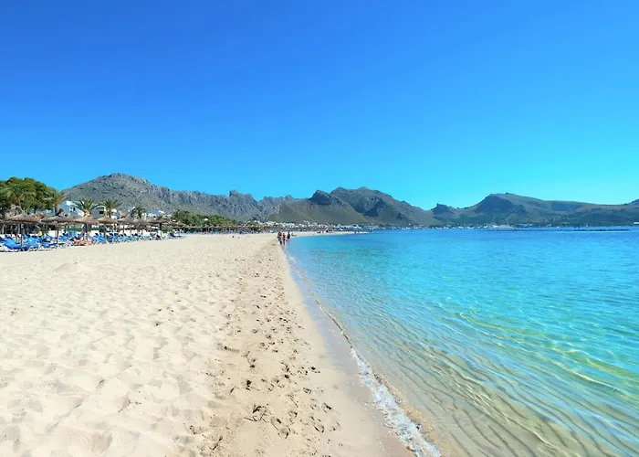 Owl Bennasar - Rustic Pollensa