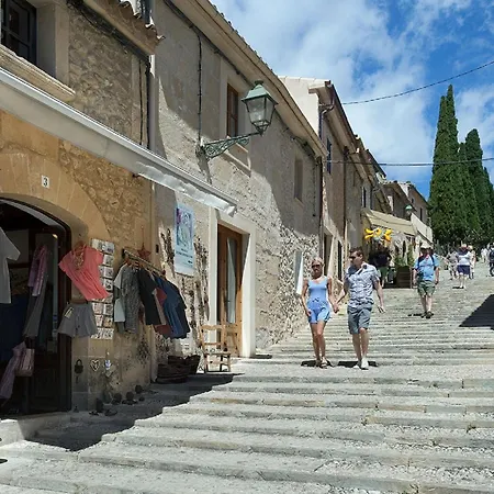 Owl Bennasar - Rustic *