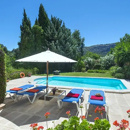 Owl Bennasar - Rustic *