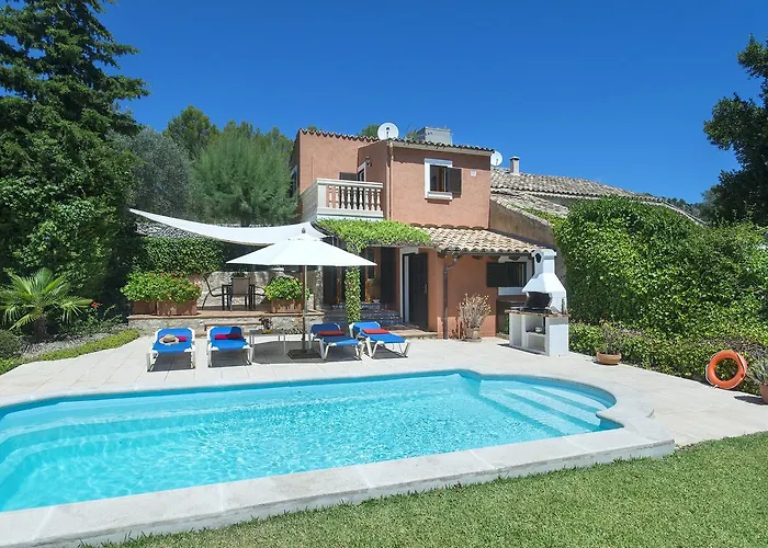 Owl Bennasar - Rustic Pollenca